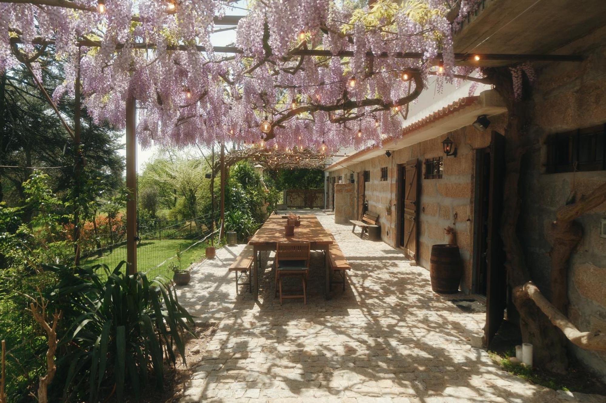 Casa Da Alvarinha Privacidade Conforto Natureza ปาเรเดส ภายนอก รูปภาพ