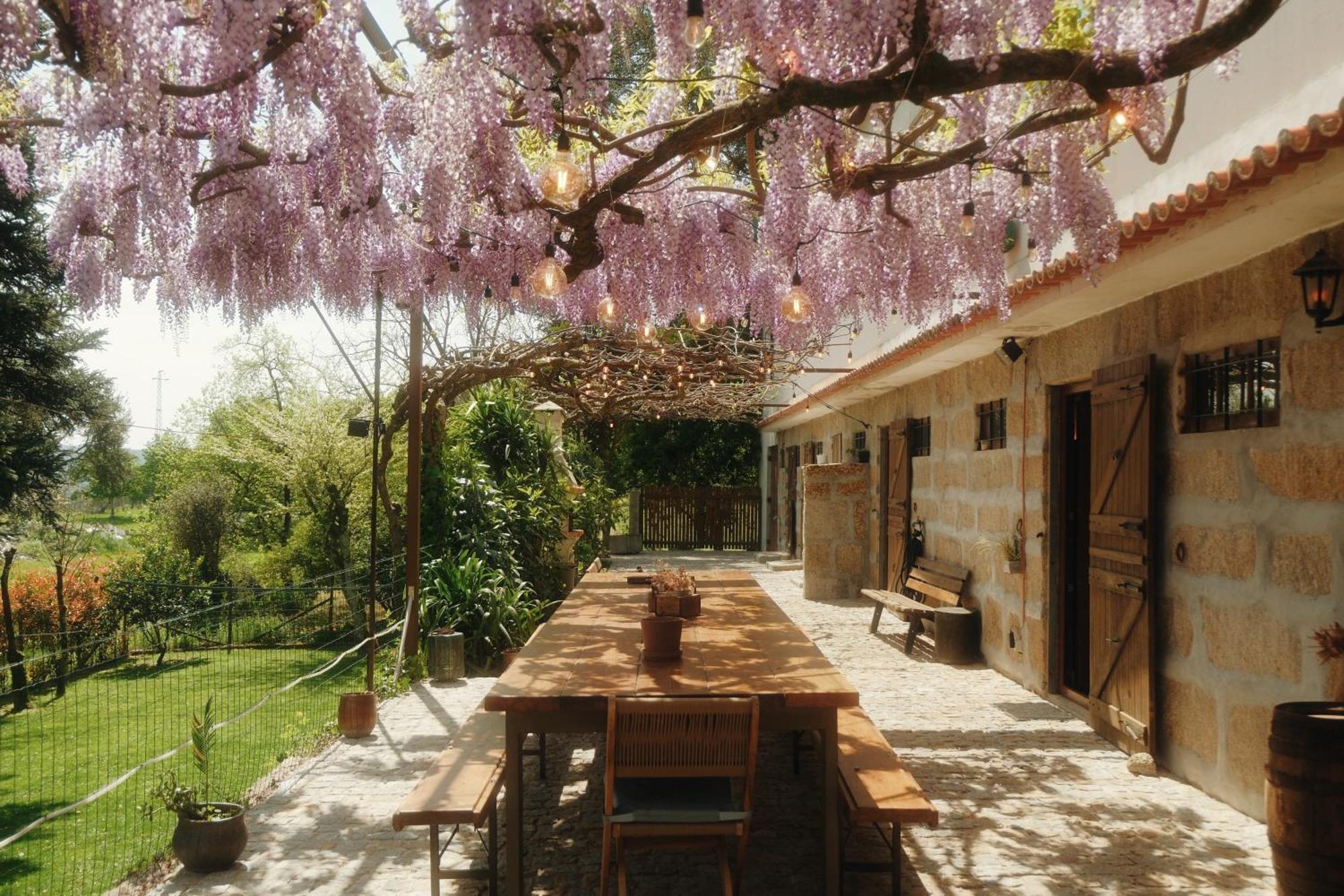 Casa Da Alvarinha Privacidade Conforto Natureza ปาเรเดส ภายนอก รูปภาพ