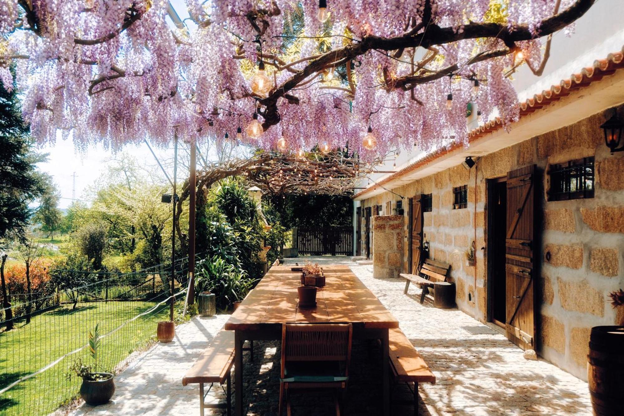 Casa Da Alvarinha Privacidade Conforto Natureza ปาเรเดส ภายนอก รูปภาพ